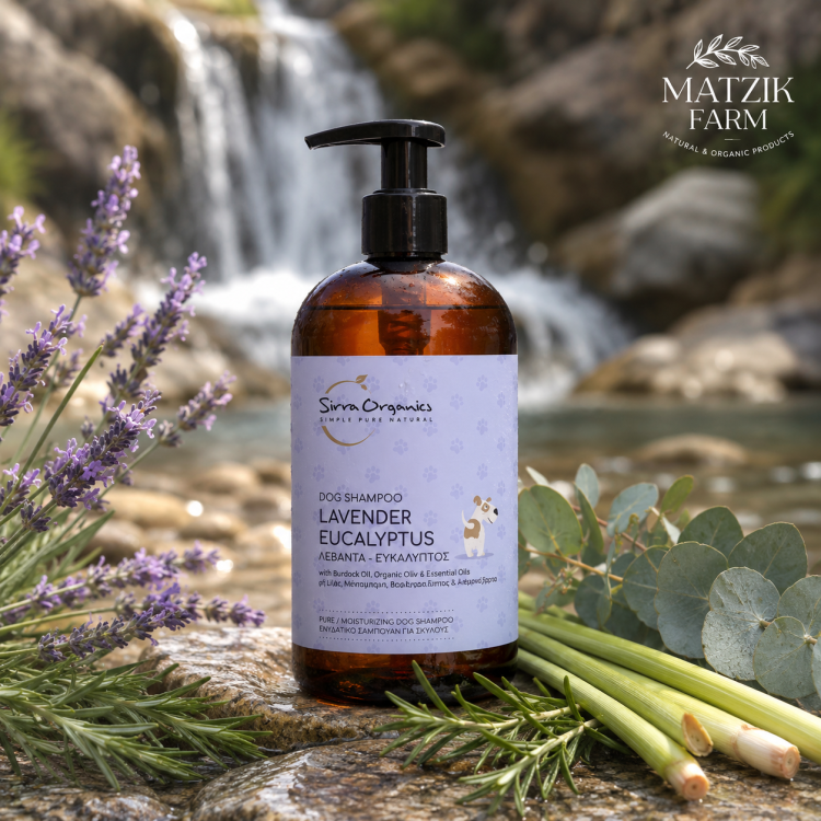 DOG SHAMPOO ΛΕΒΑΝΤΑ-ΕΥΚΑΛΥΠΤΟΣ 500ml